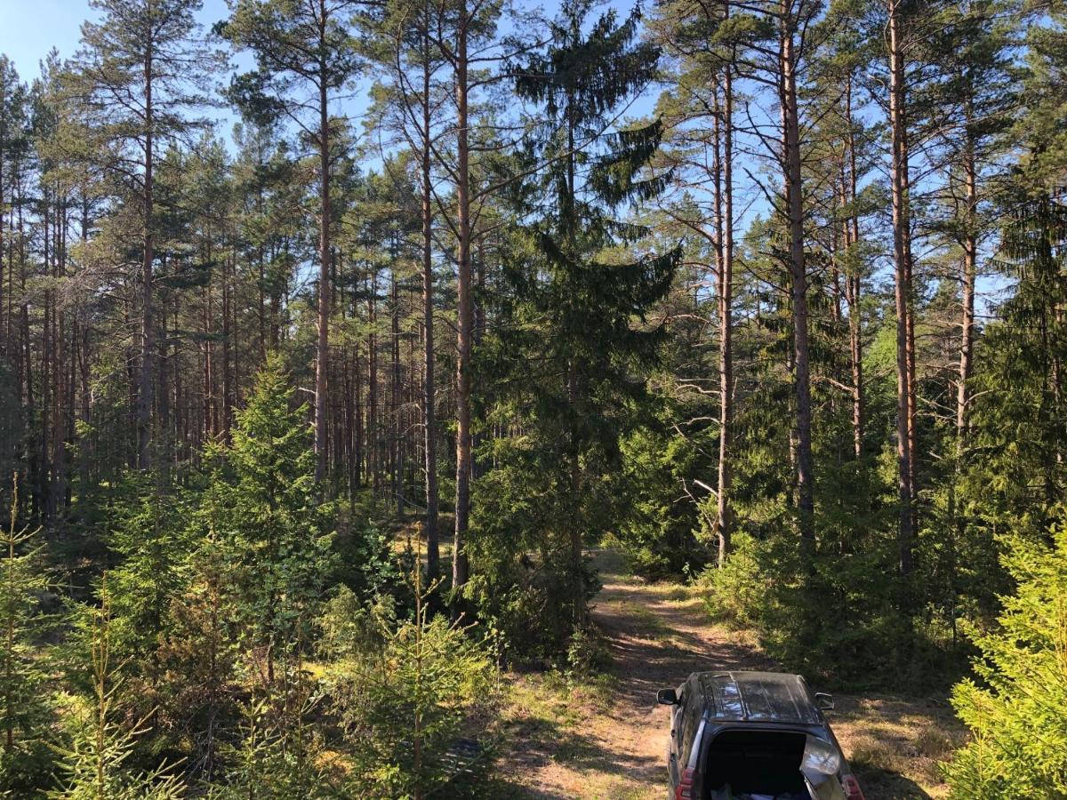 Veela Metsamaja Noarootsi Exterior foto